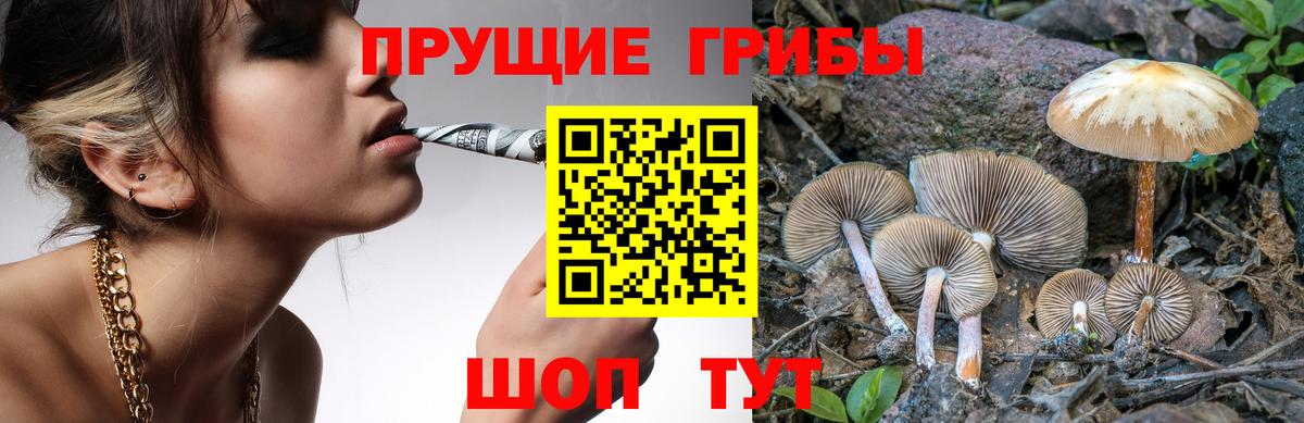 Псилоцибиновые грибы Psilocybine cubensis  Псилоцибиновые грибы прущие грибы  Вход с VPN  наркошоп  Москва 